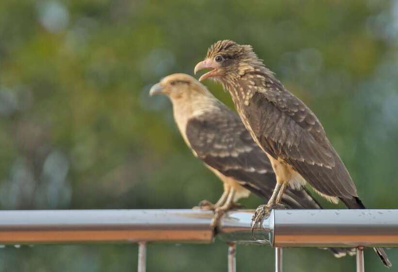 فندق Boca Chica Bay Eco Lodge