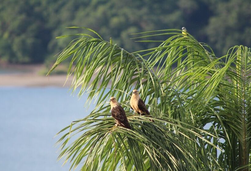فندق Boca Chica Bay Eco Lodge