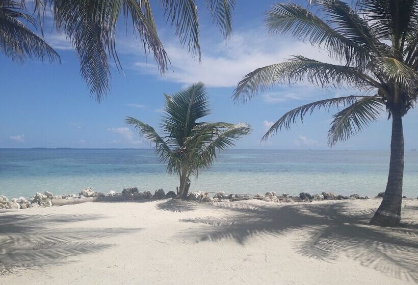 酒店 Cabanas Narasgandub - Naranjo Chico