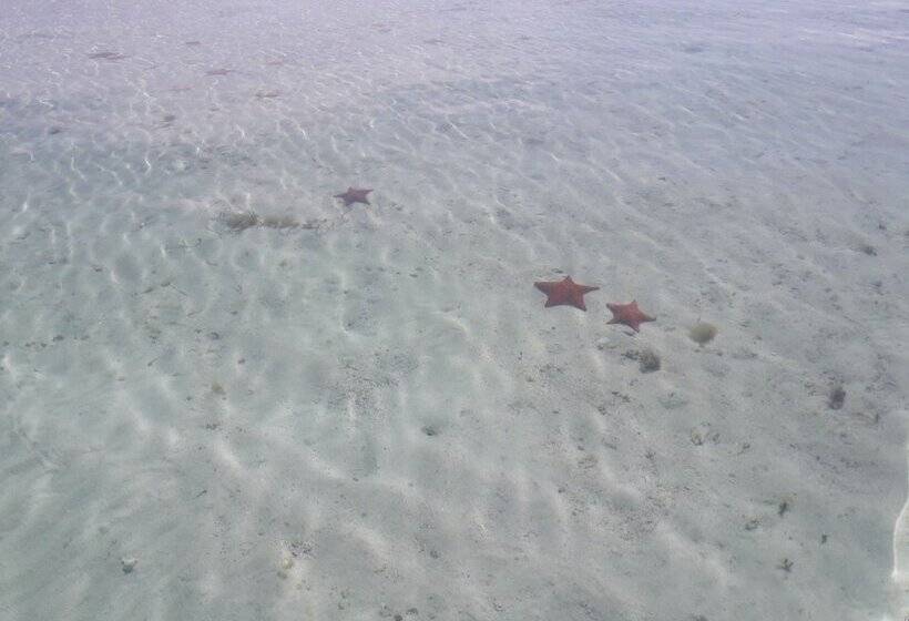 酒店 Cabanas Narasgandub - Naranjo Chico