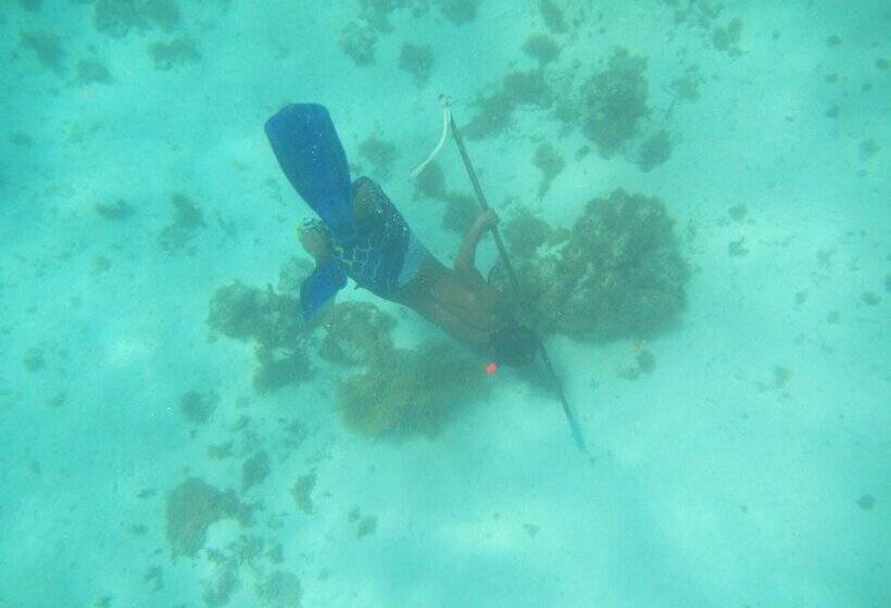 酒店 Cabanas Narasgandub - Naranjo Chico