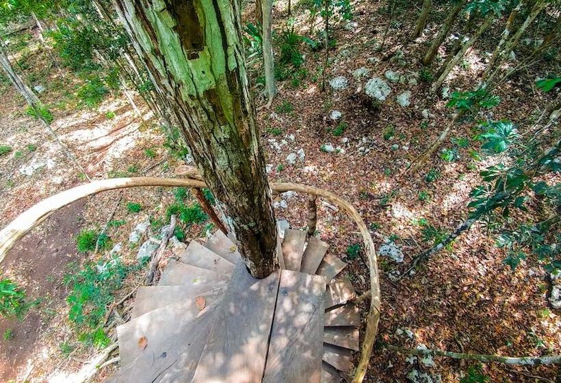 فندق Casa Aztlan