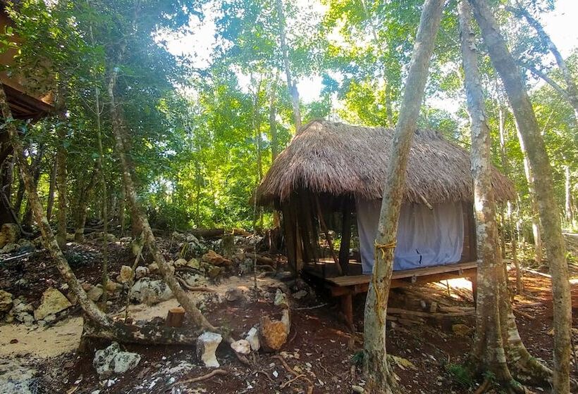 فندق Casa Aztlan