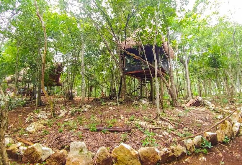 فندق Casa Aztlan