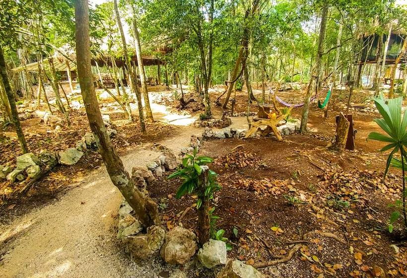 فندق Casa Aztlan