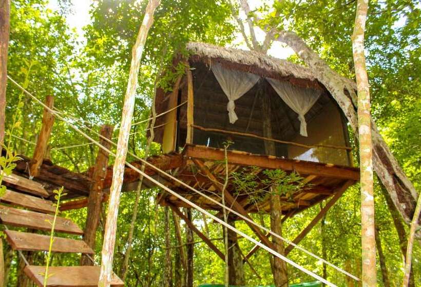 فندق Casa Aztlan