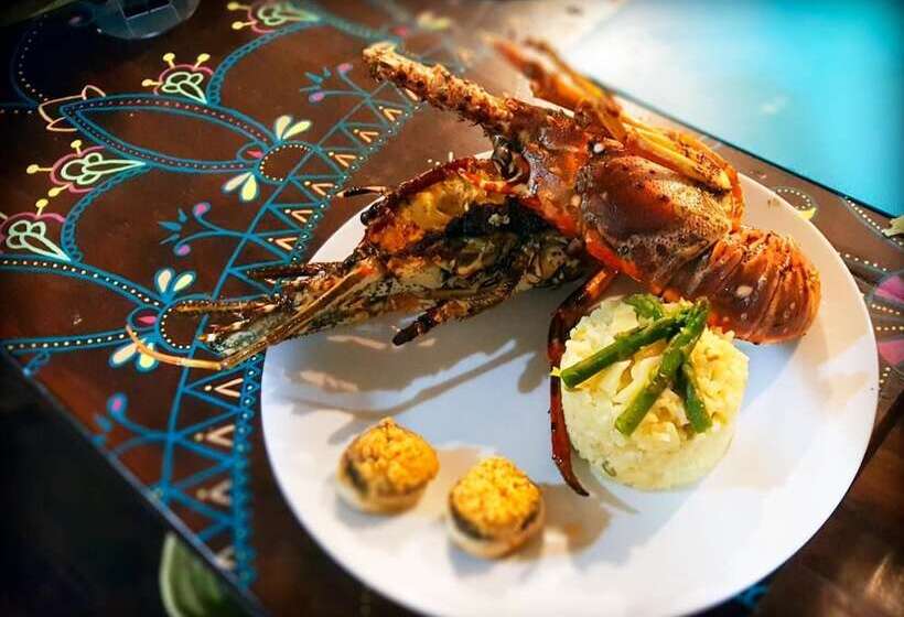 בית מלון כפרי El Caribeo   Nature Lodge