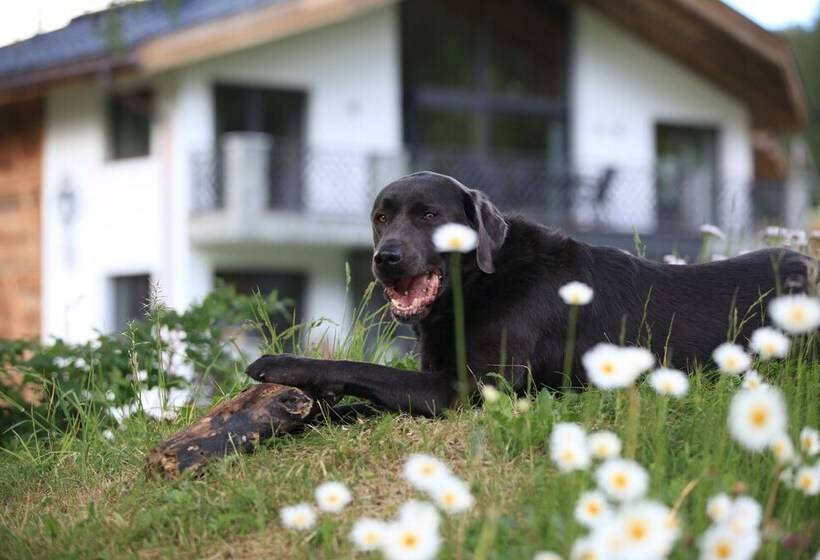 호텔 Engadin Lodge