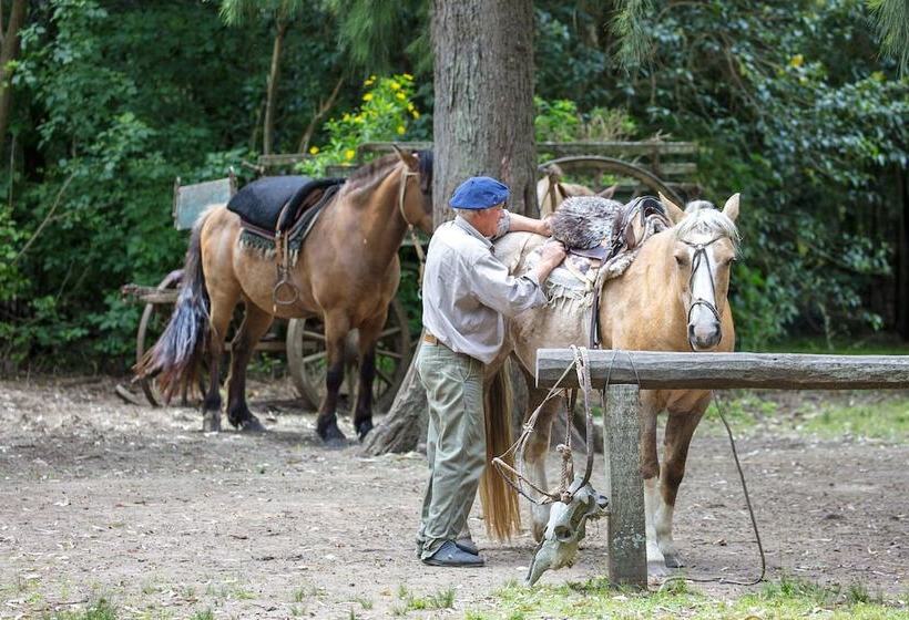 ホテル Estancia La Bandada