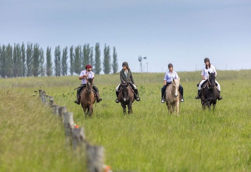 בית מלון כפרי Estancia La Bandada