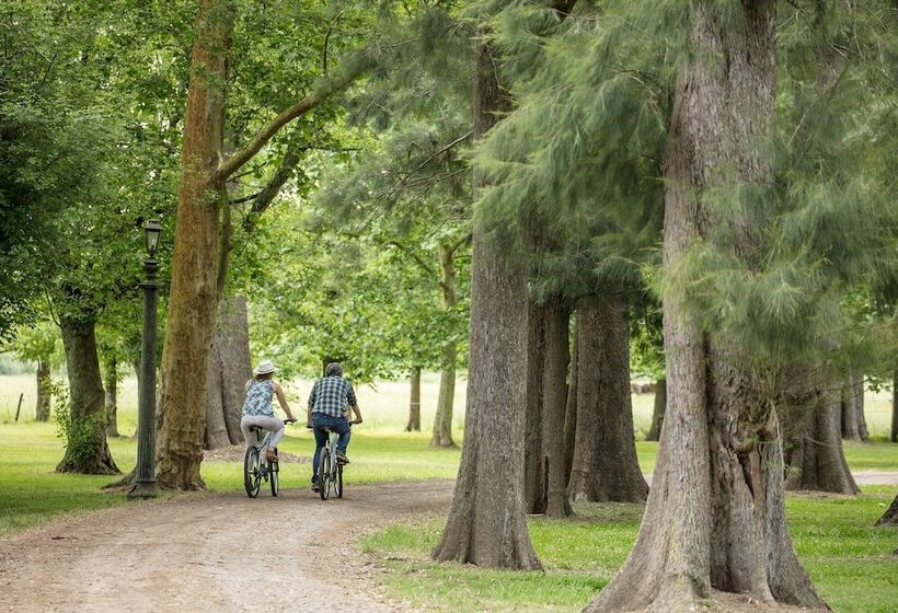 בית מלון כפרי Estancia La Bandada