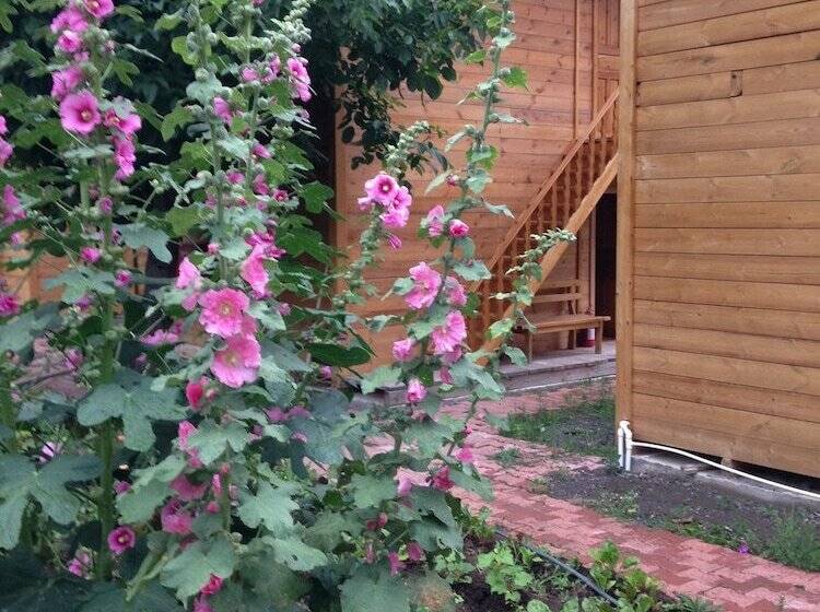 Отель Velikoy Han Konaklari