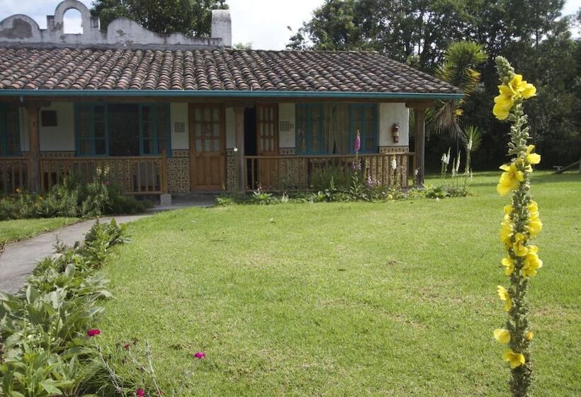 فندق Las Palmeras Inn