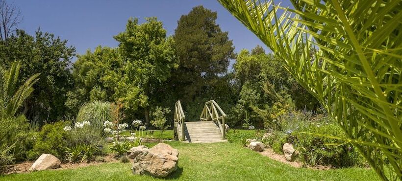 ホテル Olmué Natura Lodge & Spa