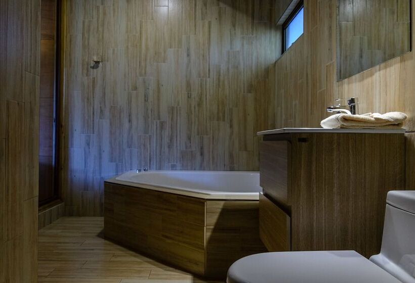 ホテル Olmué Natura Lodge & Spa