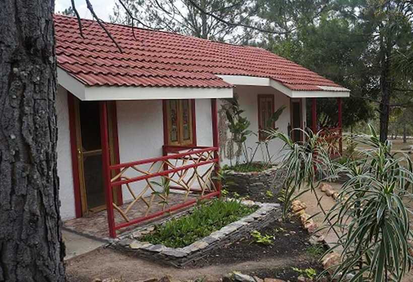 בית מלון כפרי Pine Ridge Lodge