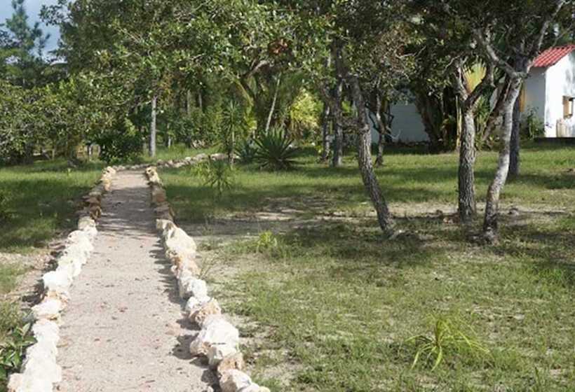 בית מלון כפרי Pine Ridge Lodge