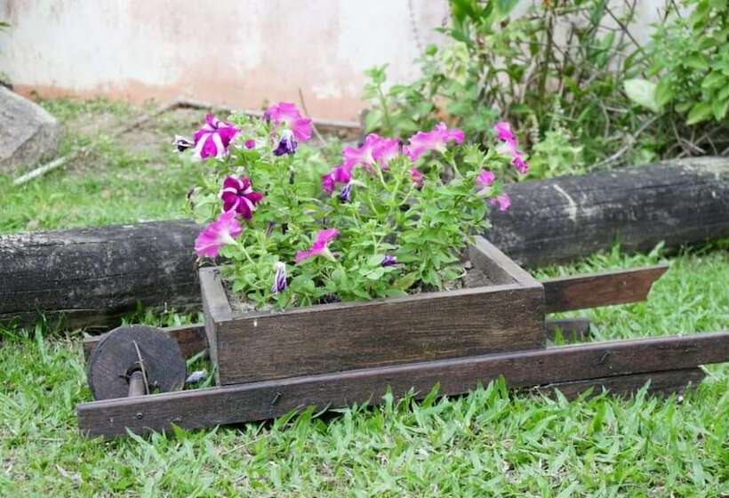 בית מלון כפרי Pousada Alfa