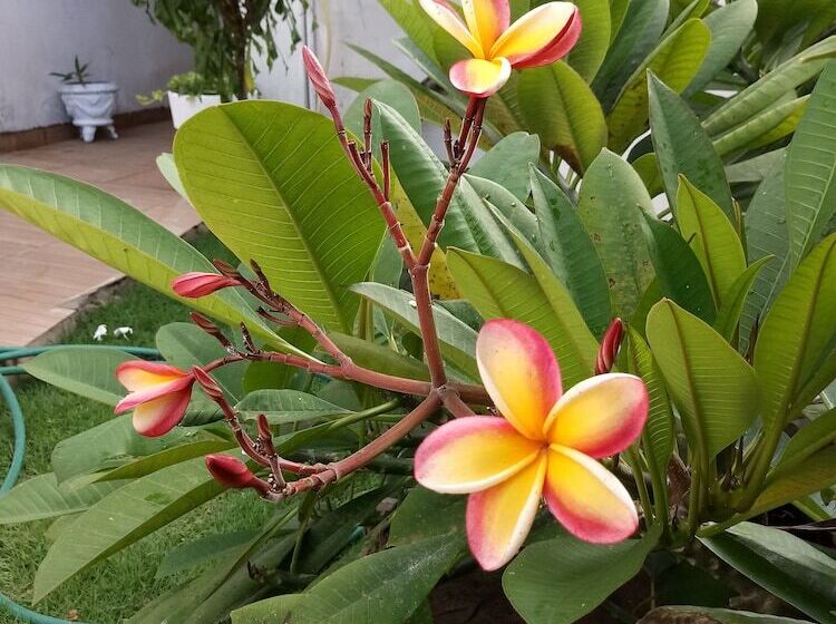 酒店 Pousada Vila Da Barra