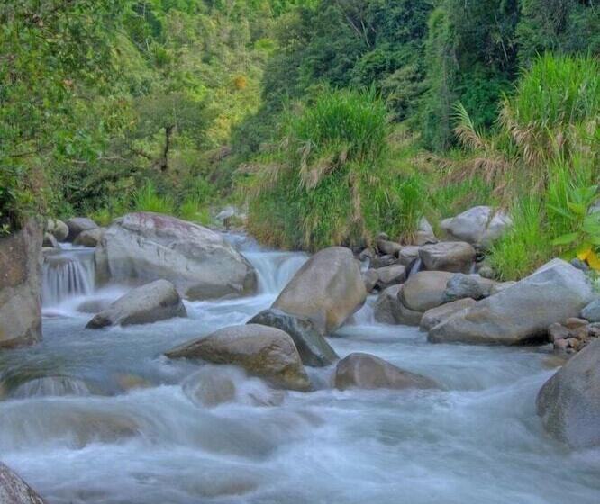فندق Rio Chirripo