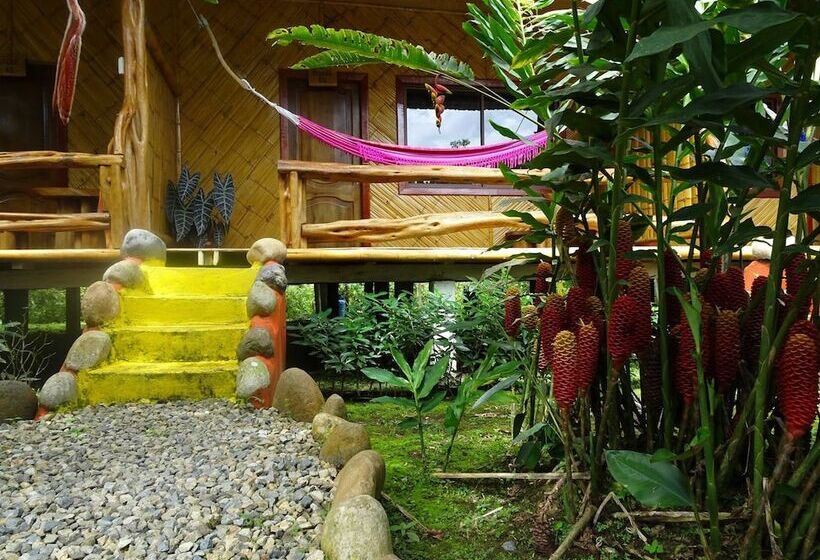 酒店 Río Napo Lodge