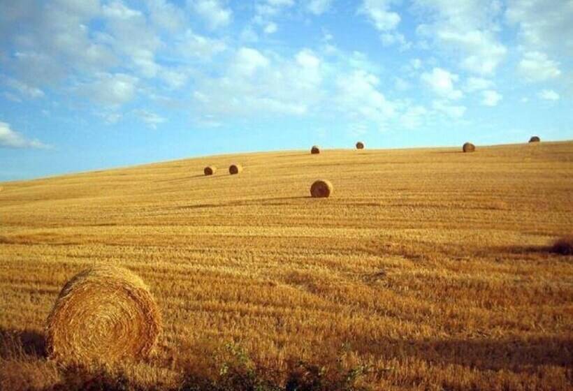 田舎風ホテル Agriturismo Le Crete