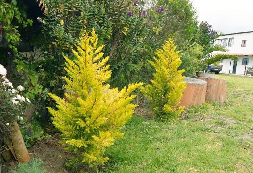 فندق ريفى Bella Vista Pujili