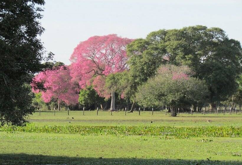 乡村酒店 Pousada São João Estrada Parque Pantanal