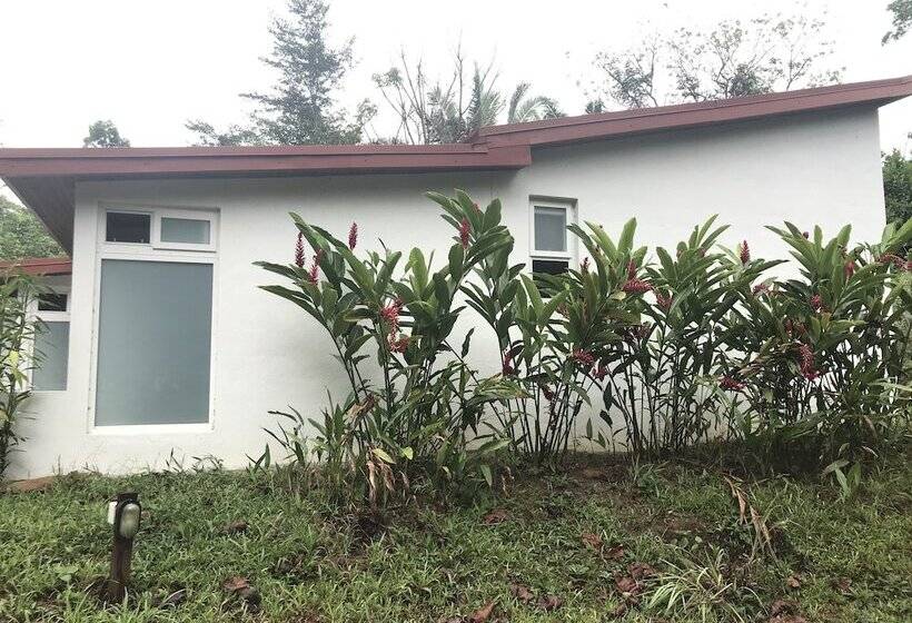 فندق Sattva Land