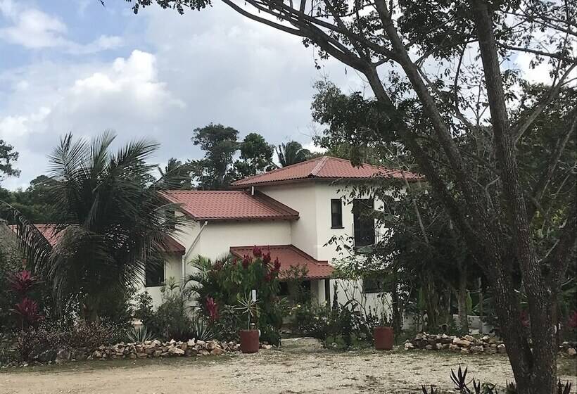 فندق Sattva Land