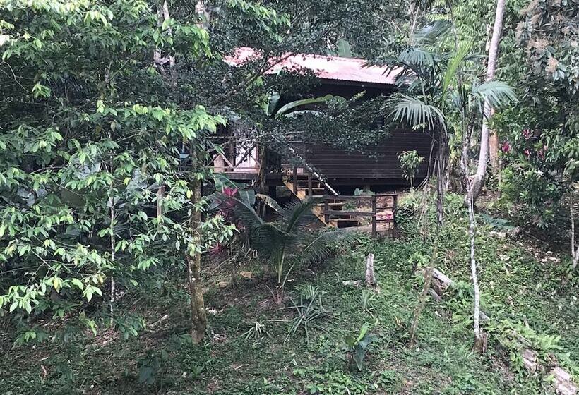 فندق Sattva Land