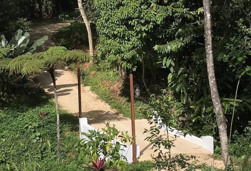 فندق Sattva Land