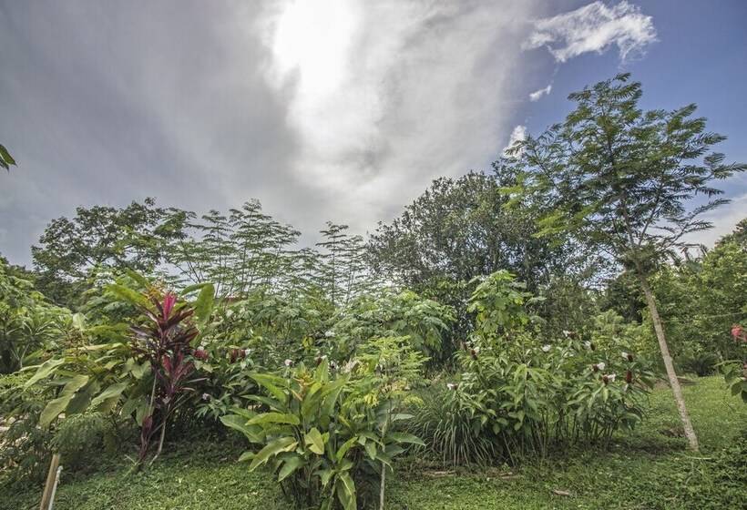 فندق Sattva Land