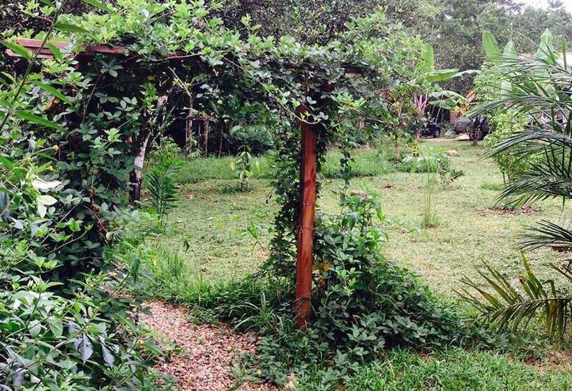 فندق Sattva Land