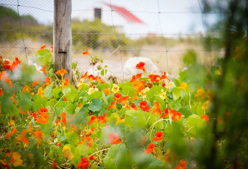 호텔 Thali Thali Game Lodge