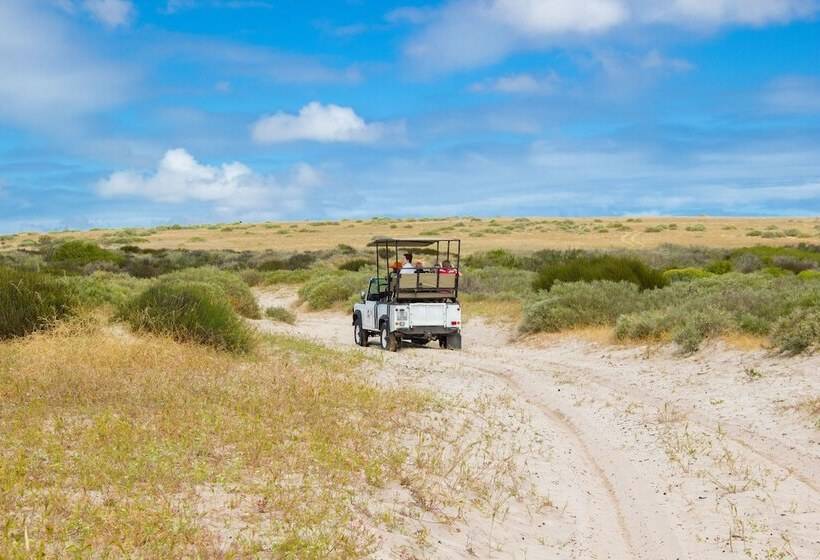 Отель Thali Thali Game Lodge