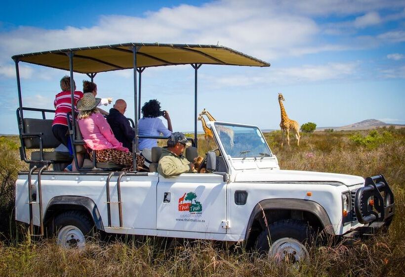 호텔 Thali Thali Game Lodge