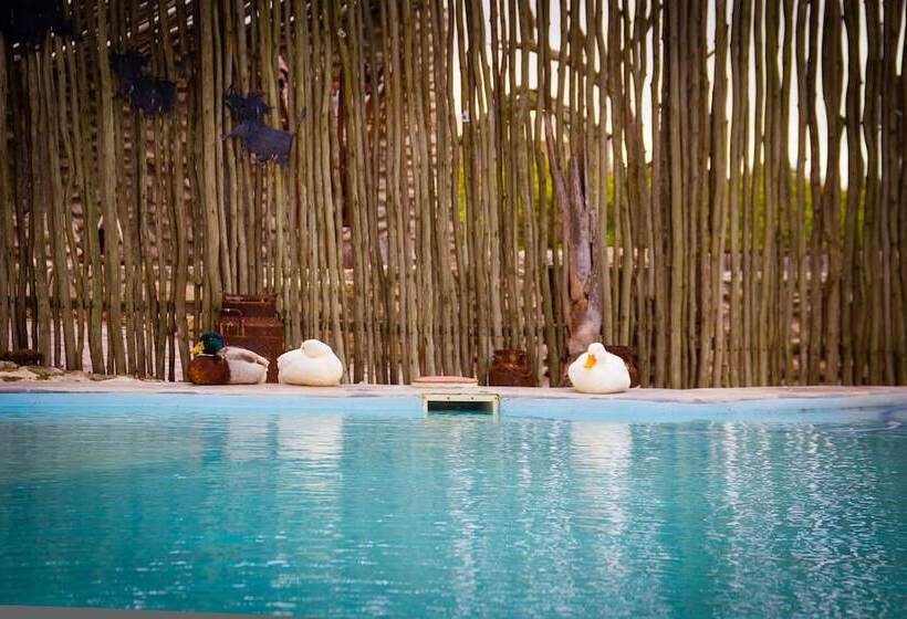 호텔 Thali Thali Game Lodge