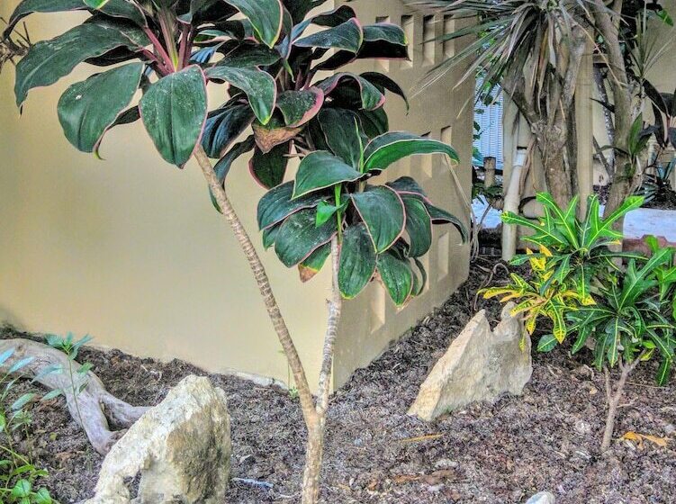 호텔 Tri Casa De Suenos