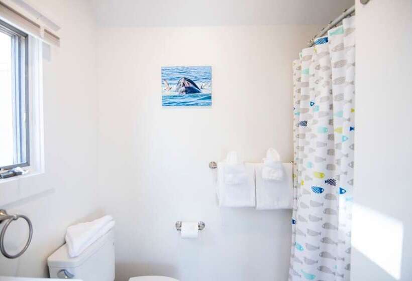 هتل Truro Beach Cottages