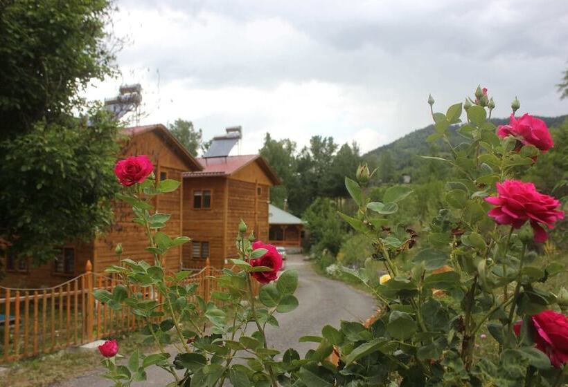 Отель Velikoy Han Konaklari