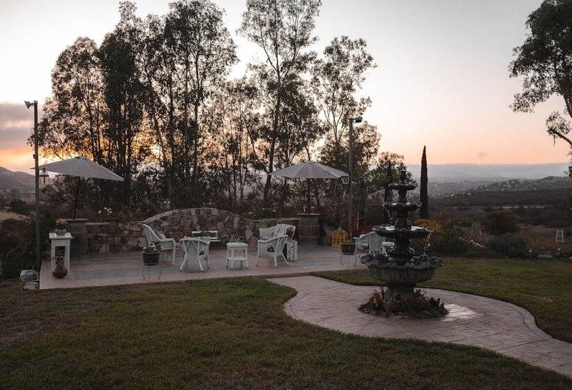 酒店 Viña Calabria