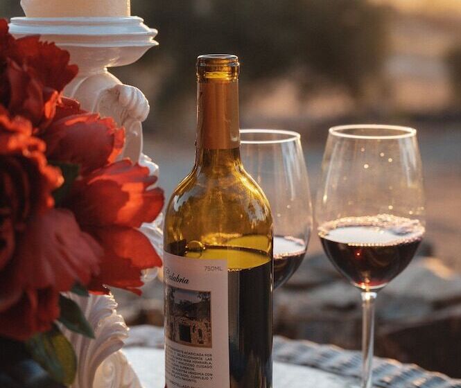 酒店 Viña Calabria