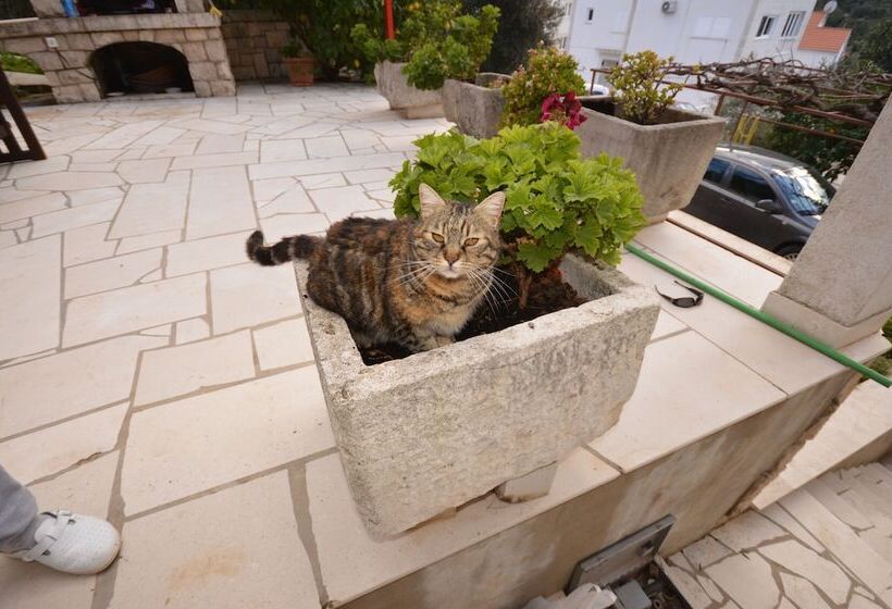 호텔 Villa Castello