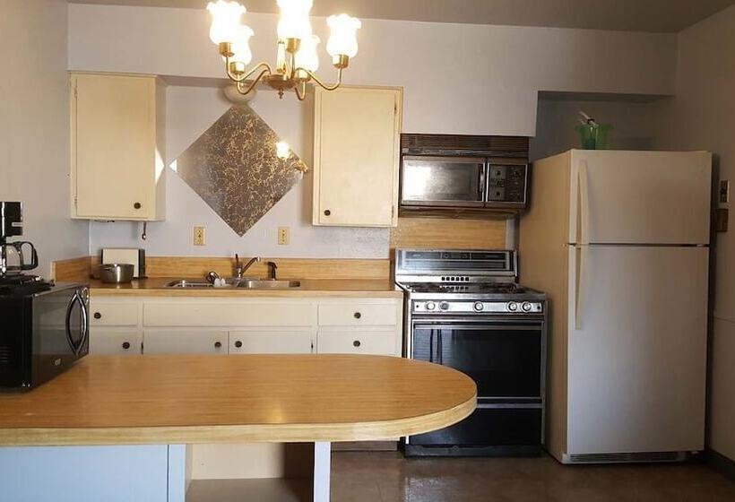 モーテル Cactus Inn And Suites