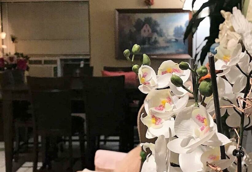 モーテル Cactus Inn And Suites