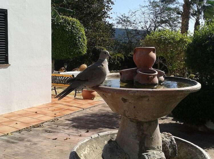 Пансион Casa Rural El Cubillo