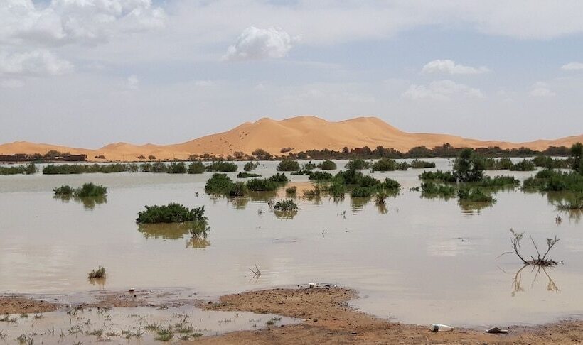 پانسیون Auberge Les Roches