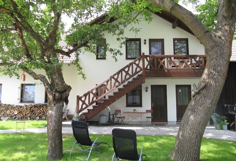 بنسيون Ferienhof Bohg