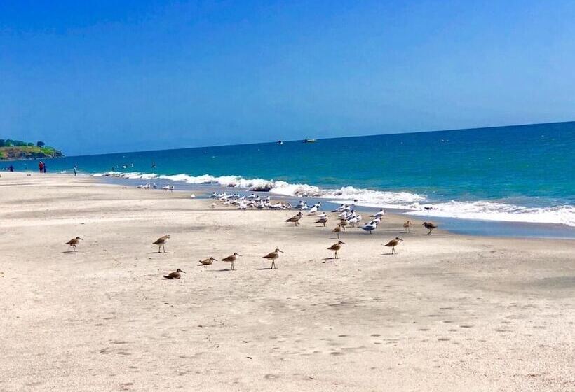 펜션 La Perla De Farallon Bed And Breakfast